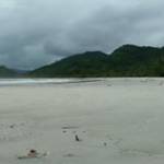 အလြမ္း ဝံပုေလြ