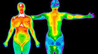 Thermogram of Women and Men