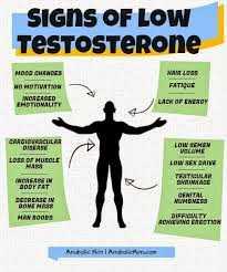 Low Testosterone 