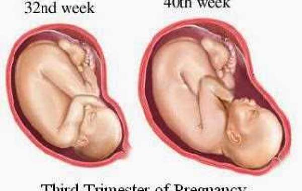 Pregnancy Third trimester ကိုယ်ဝန်ဆောင် နောက်ဆုံး (၃) လ