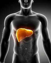 Iron supplement and Liver diseases