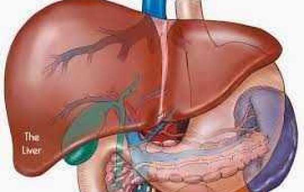 Liver function tests အသည်းအလုပ်စစ်ဆေးတဲ့အခါ (အင်ဇိုင်းမ်) တွေ ဘာလို့များနေသလဲ