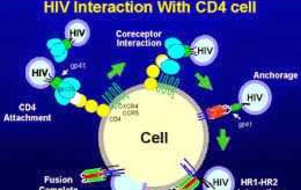 HIV and CD4 စီ-ဒီ-ဖိုး