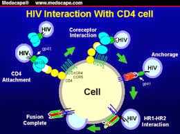 HIV and CD4