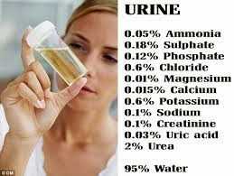 Urine smell
