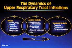 Respiratory tract infections 