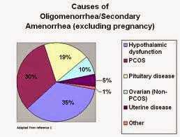 Menstruation (1)