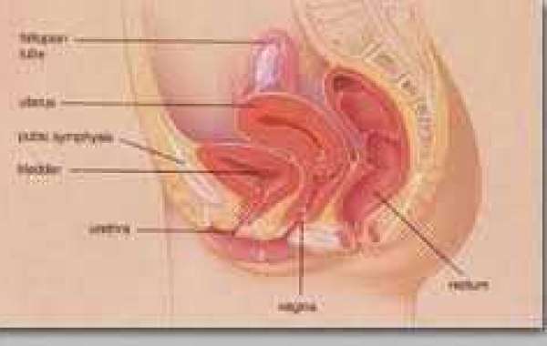 Dyspareunia (2) ဆက်ဆံချိန်မှာ နာကျင်တာ (၂)