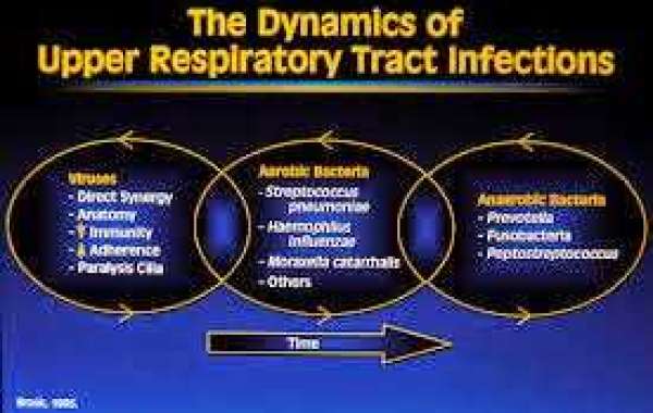 Respiratory tract infections (2) အသက်ရှူလမ်း ပိုးဝင်ခြင်း (၂)