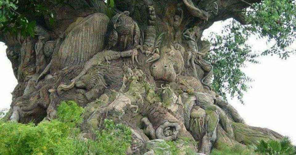 ရင္ခြင္ လမ္း: အပင္ႀကီး ၏ ပံုျပင္