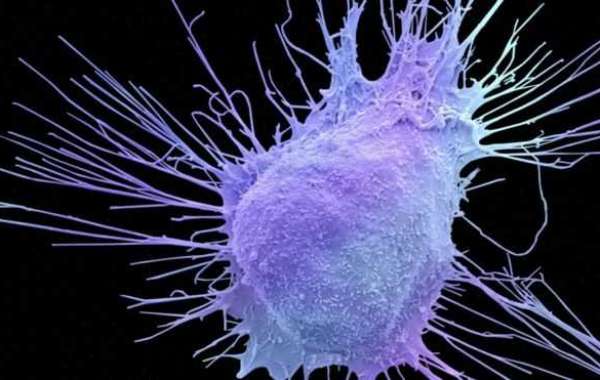 Milestone prostate cancer drug ဆီးကျိတ်ကင်ဆာဆေး သမိုင်းမှတ်တိုင်