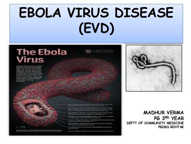 Ebola virus disease