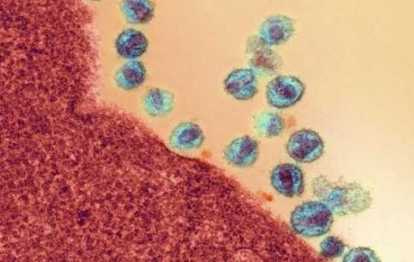 HIV flushed out by cancer drug