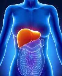 Liver cancer early detection