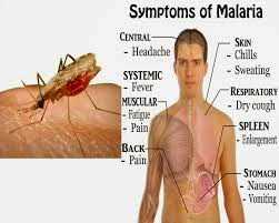 Malaria