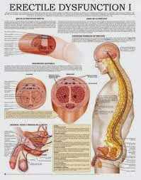 Erectile Dysfunction