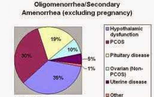 Menstruation (1) မိန်းမပီသတာ စိုးရိမ်စရာမရှိပါ (၁)