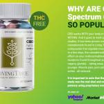 LivingTree CBD Gummies