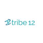 Tribe 12