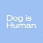 seo dogishuman