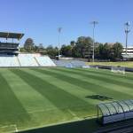 sportsturf consultants