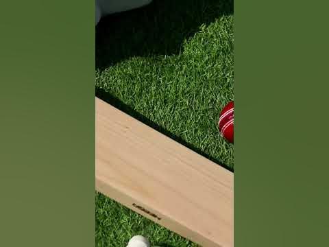 Heega Hayden Series Maximal Profile Cricket Bat - YouTube