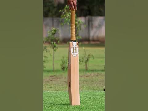 Heega Camel-shaped Kashmir Willow Cricket Bat - YouTube