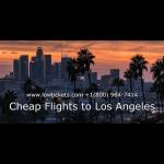 Cheap Flights