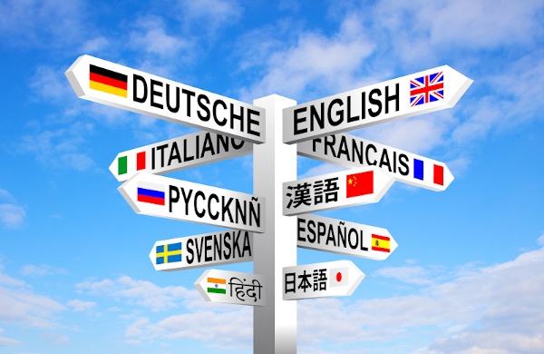 Precision And Expertise In Crossing Language Barriers