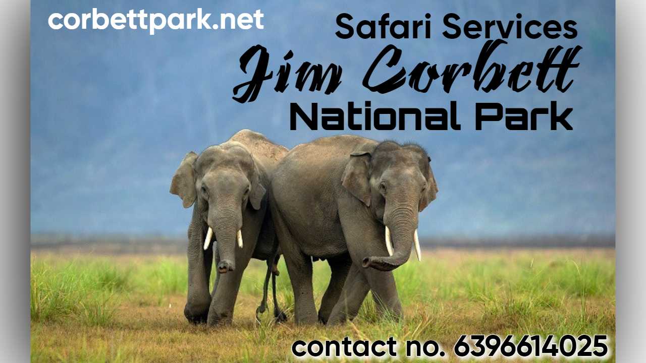 Corbett Park
