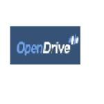 Open Drive