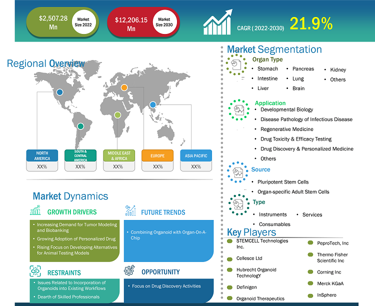 Organoids Market Size Report | Analysis and Forecast 2030