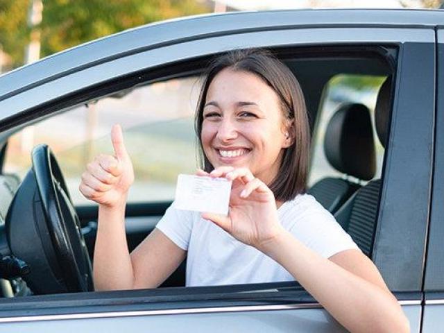 Driver License Translation
