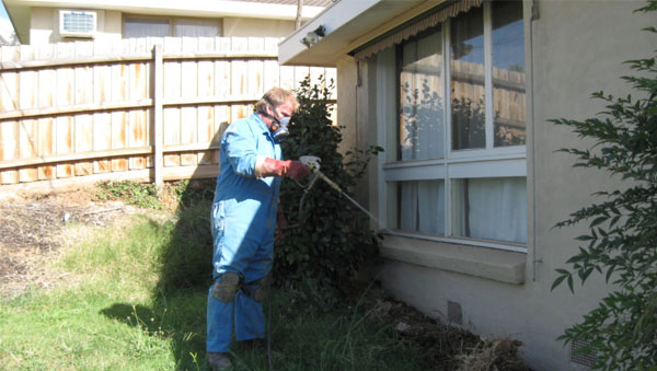 Pest Control Mill Park, Termite Treatment & Inspections, Rat Control