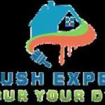 Brush Experts